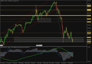 usdjpy-10-9-2024-2024-09-10