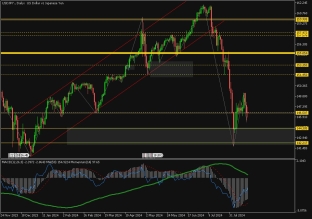 usdjpy-20-8-2024-2024-08-20